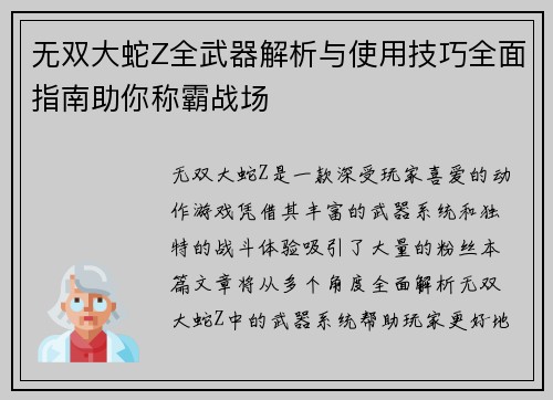 无双大蛇Z全武器解析与使用技巧全面指南助你称霸战场