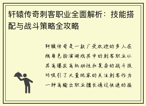 轩辕传奇刺客职业全面解析：技能搭配与战斗策略全攻略